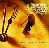 A Tribute to the Hits of Enya