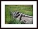 Totem Pole by John K. Nakata 24.00X18.00 Framed with Black Wood Frame