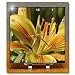 Yellow Lily - may birth flower, birth flower, lily, lilies, lilium, flowering plants, plants - 6x6 Desk Clock