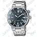 Casio 100m Diver Style Watch with Super Illuminator Light Model MTD-1048A-1A2
