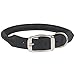 Casual Canine Rolled Leather Dog Collar, Fits Necks 14