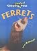 Search : Ferrets (Keeping Unusual Pets)