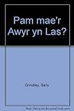 Pam mae'r awyr yn las? : stori gan Sally Grindley