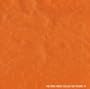 Amos House Collection, Vol. 3