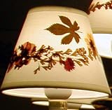 3, NEW, CHANDELIER, or, CANDLE LIGHT, CLIP-ON, CREAM, LAMP, SHADES, with, HAND CRAFTED, REAL, DRIED, PRESSED, FLOWERS, MAKING, each, SHADE, UNIQUE, that, fits, CANDELABRA BULBS, NEW, LAMP SHADES, has, PRESSED, FLOWERS, over, a, SMOOTH, LINEN, FABRIC, for, UPDATING YOUR HOME, LIGHT, SHADE, is ABOUT 2.75 ACROSS TOP X 5 at BOTTOM X 4 TALL, HIGH QUALITY, with, FLOWERED, DESIGNED, LIGHT SHADES, at BELOW, WHOLESALE, PRICES, ON, LAMP, BULB, SHADE, UPC609722846653