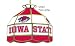 Iowa State University Cyclones NCAA Small Pub Lamp