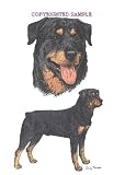 Rottweiler - Double Image by Cindy Farmer