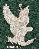 Air Force Academy Falcons Giant 1 5/8 W x 2 1/4 H Falcon Pendant - 14KT Gold Jewelry