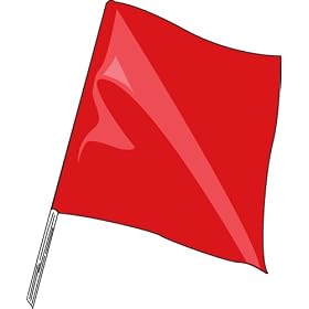 Taylor Made Products Skier Down Boat Flag (18-Inch Pole)