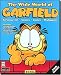  : Wide World of Garfield