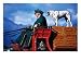 Budweiser Clydesdale Horse Cart, with Dalmation Standing on Boxes, Palmer, U.S.A. Animals Photographic Poster Print by Mark Newman, 24x18