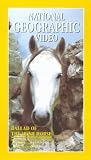 National Geographic Video - Ballad Of The Irish Horse