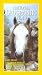 VHS : National Geographic Video - Ballad Of The Irish Horse