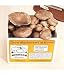 portobello mushroom growing kit portobello mushroom growing kit