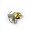 Amnesty International 50th Anniversary Lapel Pin (Silver)