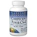 Cordyceps Power CS-4 800 mg 60 Tabs ( Chinese Tonic for Vitality ) - Planetary Herbals