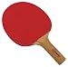 Halex Competition 1000 Table Tennis Paddle