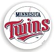 Minnesota Twins 12" Car Magnet - Baseball Sports Merchandise