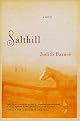 Salthill: A Novel