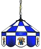 Kentucky Wildcats UK Stained Glass Swag Light
