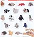 Pet Supplies : Multipet Look Who's Talking Koala Dog Toy