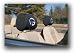 Kansas State Wildcats Head Rest Covers - Set of 2