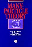 Many-particle theory