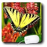 Butterflies - Tiger Swallow Tail - Mouse Pads