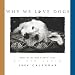 Why We Love Dogs 2004 Calendar (Wall)