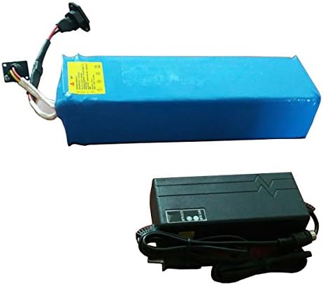 48v 15ah Lithium Polymer Battery for Electric Bicycle with Charger and BMS