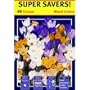 TotalGreen 72415400 Crocus Bulbs