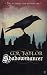 Shadowmancer: Adult Edition