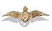 9ct Gold RAF Winged Sweetheart Badge,Brooch