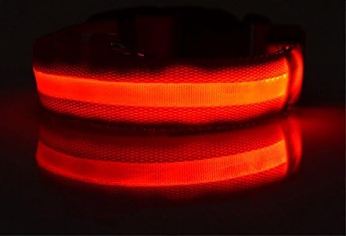 OALY Dog Night Safety Nylon LED Flashing Light Circular Pet Collar Red M