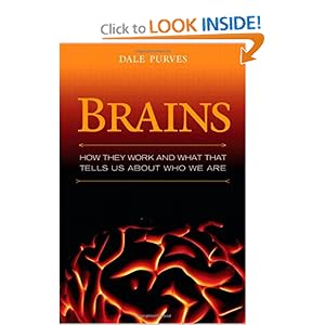 How They Seem to Work - Dale Purves