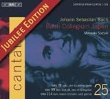 Bach: Cantatas, Vol 25 (BWV 78, 99, 114) /Bach Collegium Japan · Suzuki