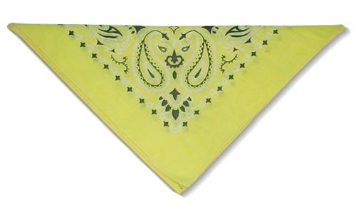 Childrens Toyshop  Sporting Goods : Bandanna Yellow