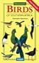 Newman's Birds of Southern Africa