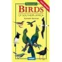 Newman's Birds of Southern Africa