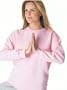 Ladies Sweatshirt