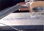 Tropical Cheesecake Fudge One Pound Gift Box