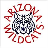 Arizona Wildcats NCAA Stick Flag