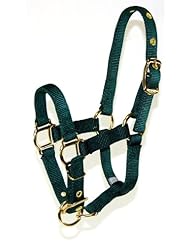 Hamilton 3/4 Inch Nylon Adjustable Miniature Foal Halter, Dark Green