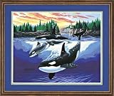  : Paint-by-Number, Whales