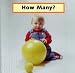 Book How Many? (Photoflaps)