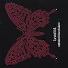 Beautiful by Fantastic Plastic Machine