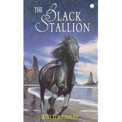 The Black Stallion (Hodder Modern Classic)