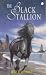 The Black Stallion (Hodder Modern Classic)