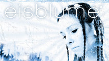 Bilder von Eisblume (Christine Westphal)