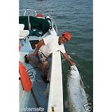 1/2 Day St.Petersburg Fl fishing charters, Tampa Bay Fishing cha
